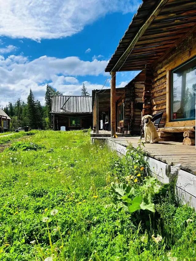 神的后花园 仙境喀纳斯