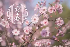 立春之日如何躲春接好运？图片