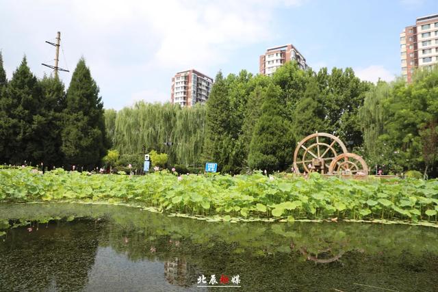 下映后，哪吒“六遛”北辰！说了啥？