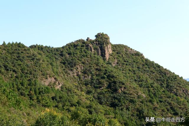 延庆应梦寺（五）：山巅极目收千嶂，林海听风涤尘心