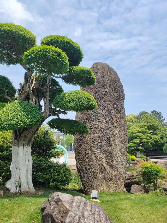 刚从宁波回来，毫不客气的说，宁波就是全国郊区城建天花板！