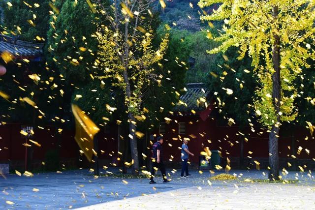 巩义青龙山的秋天美成壁纸,随手一拍都是大片!