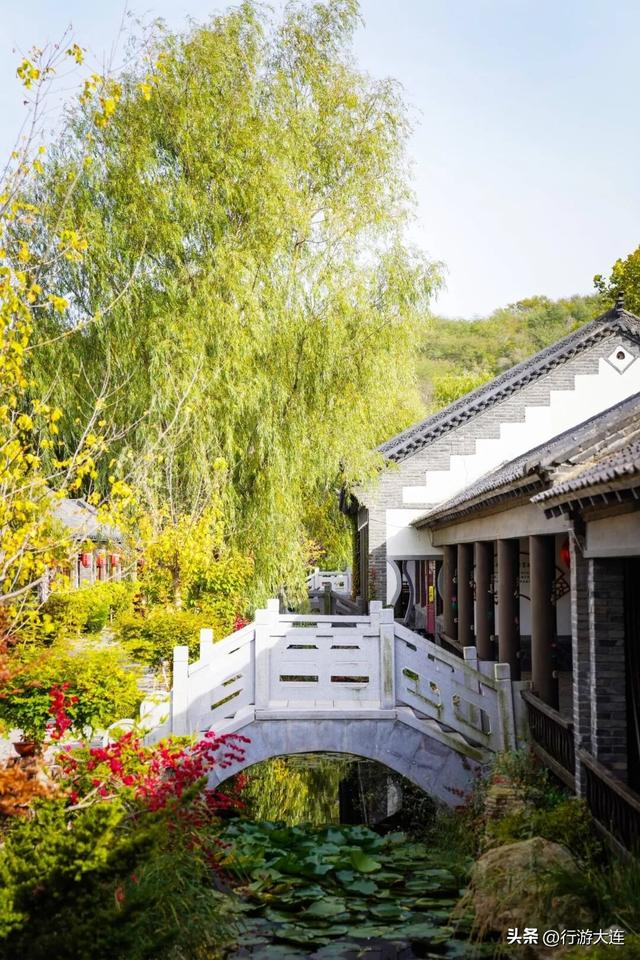别错过！东沟“遇稻粉黛”景区新增打卡点