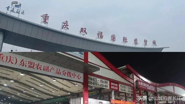 重庆“牛掰”的郊区，综合实力超部分地级市，旅游资源很亮眼