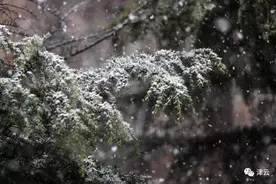 寒潮预警！天津这里要下雪？气温“俯冲式”下降！图片