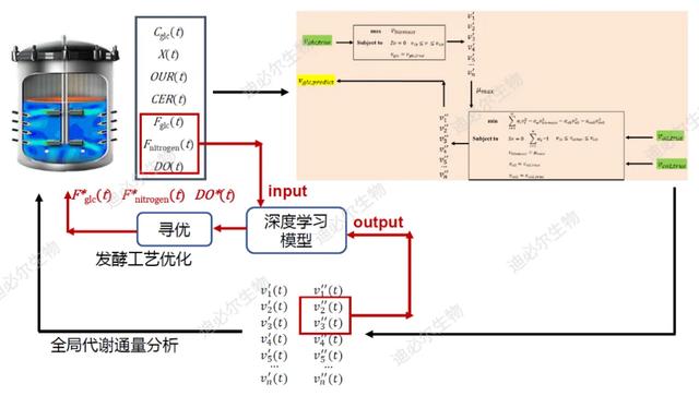 AI合成生物学，是颠覆还是炒作？这四大领域，已率先爆发！