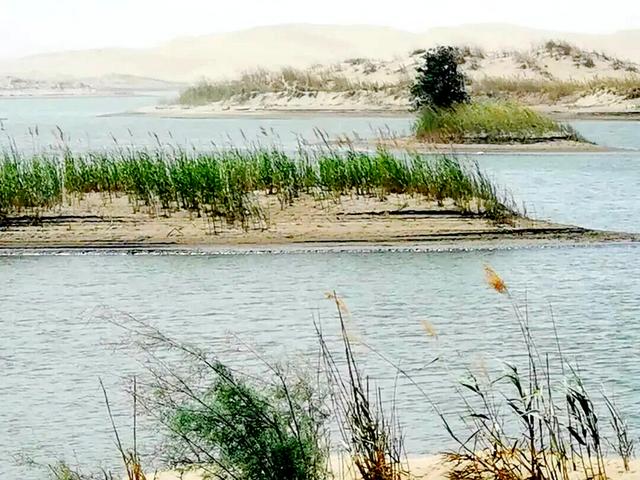 新疆罗布人村寨