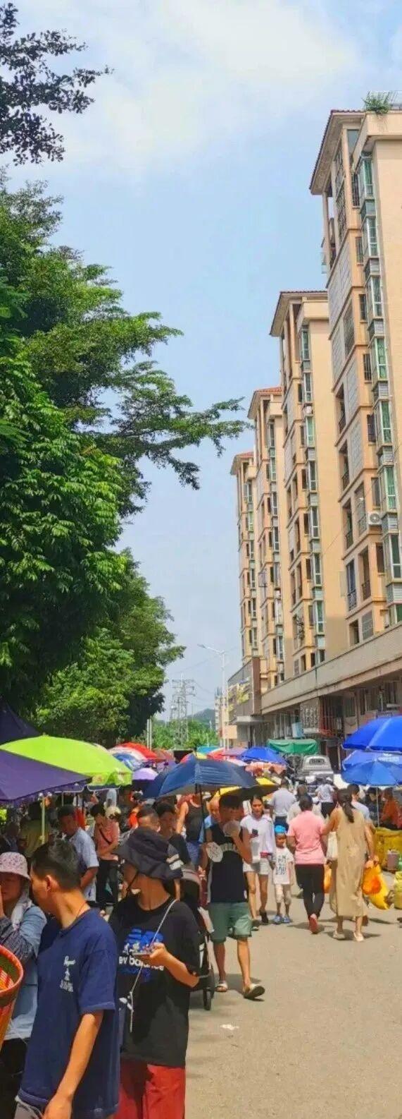 趁墟了喂！打卡从化鳌头墟，感受烟火里的人文慢时光