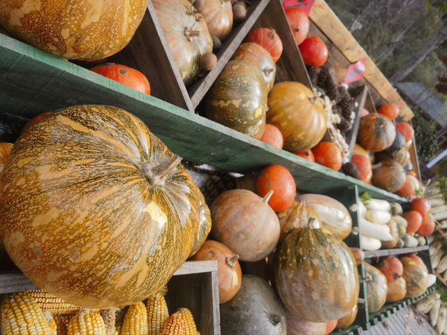 秦岭深处有人家（二）——邂逅秦岭最美廊道