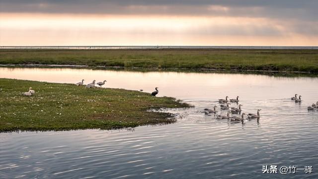 青海布哈河湿地：青海湖的母亲河