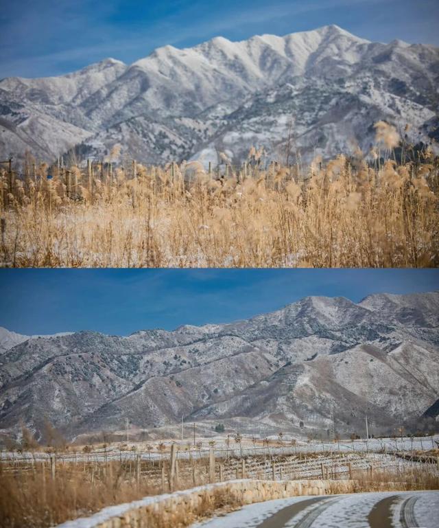 打卡诗意蓝田！私藏宝藏旅游地（三）