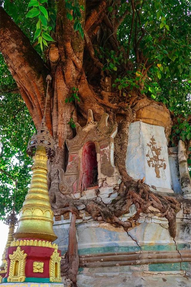 云南边陲21℃小城，比版纳好吃10倍，有多低调，就有多宝藏！