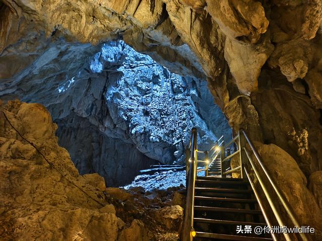 马来西亚(29)砂拉越州③姆鲁山清水洞·风洞