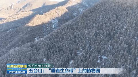 五台山：“垂直生命带”上的植物园