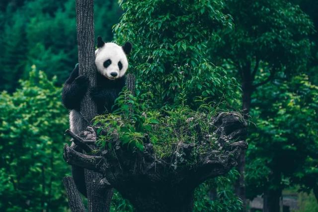 8月可以去哪儿旅游？