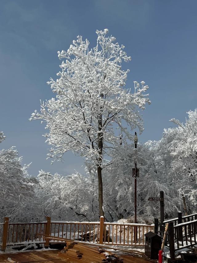 首遇云台山的雪凇美景