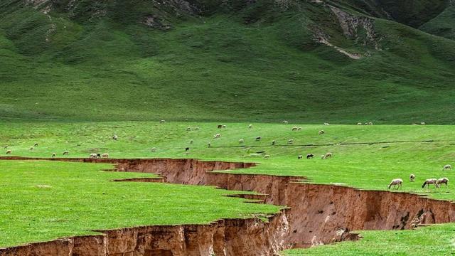 国家一级草场：新疆和田策勒亚门牧场
