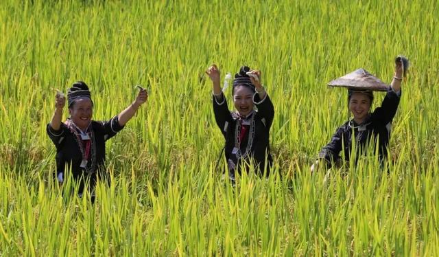 乡游黔中 · 剑河县 太拥镇丨秋染八万山,林海叠彩入画来