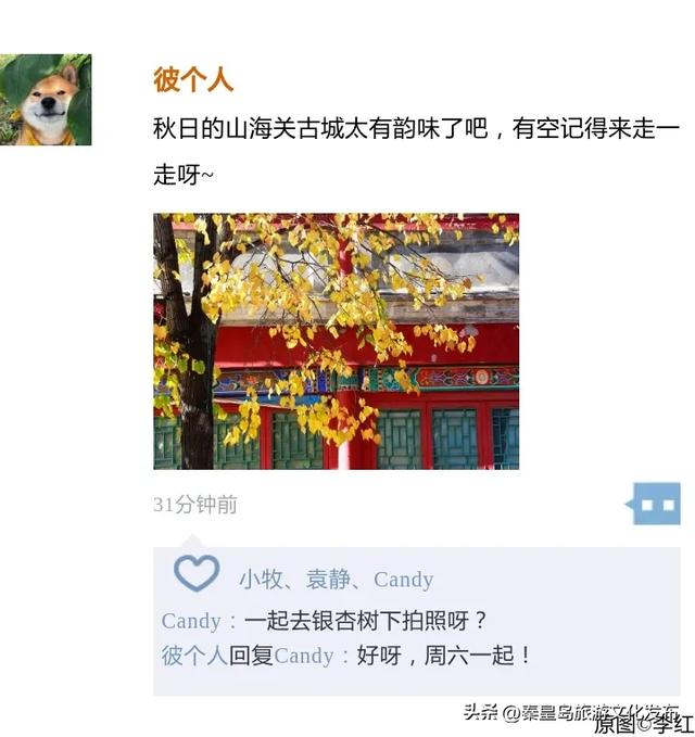 初冬,秦皇岛进入“高光时刻”!最美景致就藏在朋友圈里~