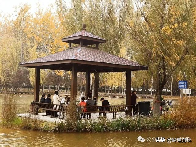 全部免费！渭河南河堤路赏秋攻略大全，那风景简直美爆了！