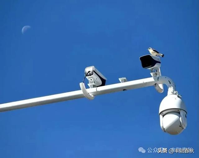 喀拉峻：定义草原新景观｜文/摄影：冯作平
