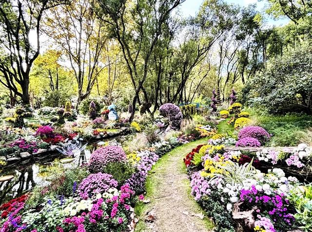 上海秋冬宝藏公园清单!8个免费治愈地,赏秋拍照两不误