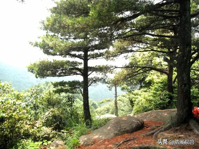 石转风吟处，仙磨寄情思——登十二渡水长老峰记