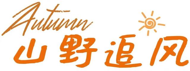 周末好去处丨免费打山泉水！烟台这条徒步秘境火了