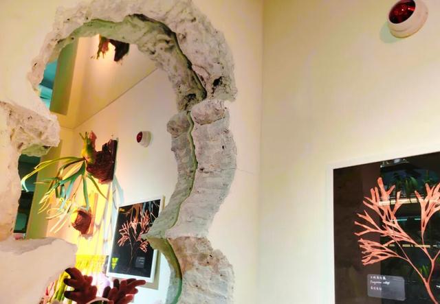 咖啡香里赏雨林？这个冬天，到五大道公园寻找暖意绿洲