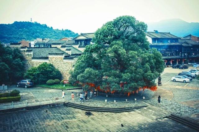 游在鹰潭｜中式美学深度游！山水、烟火、古建玩法全解锁，承包你的诗意周末