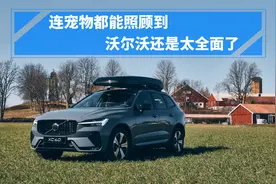 连宠物都能照顾到，XC60还是太全面了图片