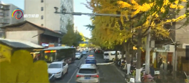 坐着公交去赏冬 昆明公交推出25条冬日主题游线路