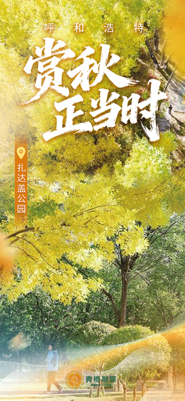 呼和浩特“换装”！限定“惊喜”来了！