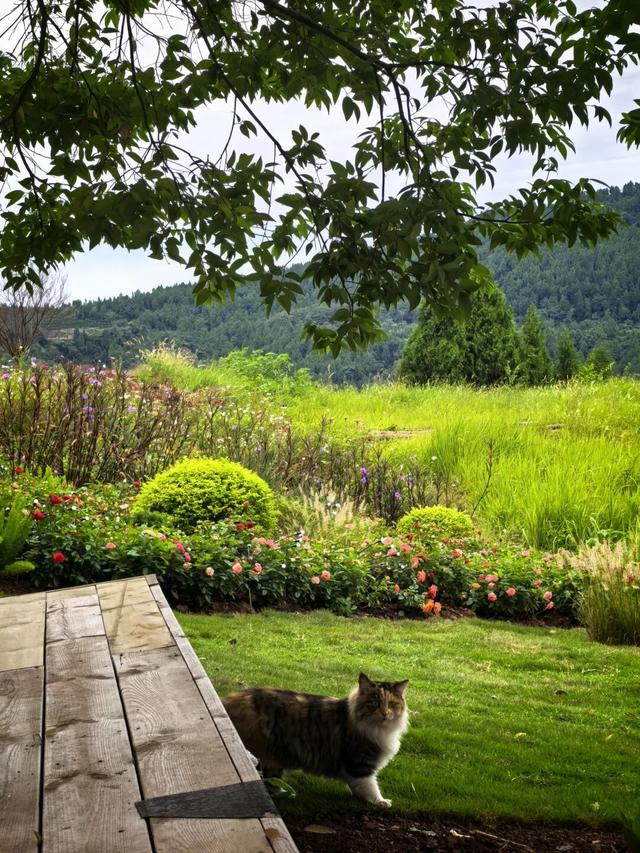 眉山天府新区又有好耍地儿了！速来打卡~