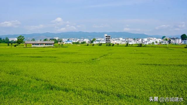 出片率100%！建水稻田公园铺开绿色海洋