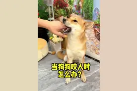 假如被狗咬住了，只需一招就能立马让狗松口，但很少有人知道图片