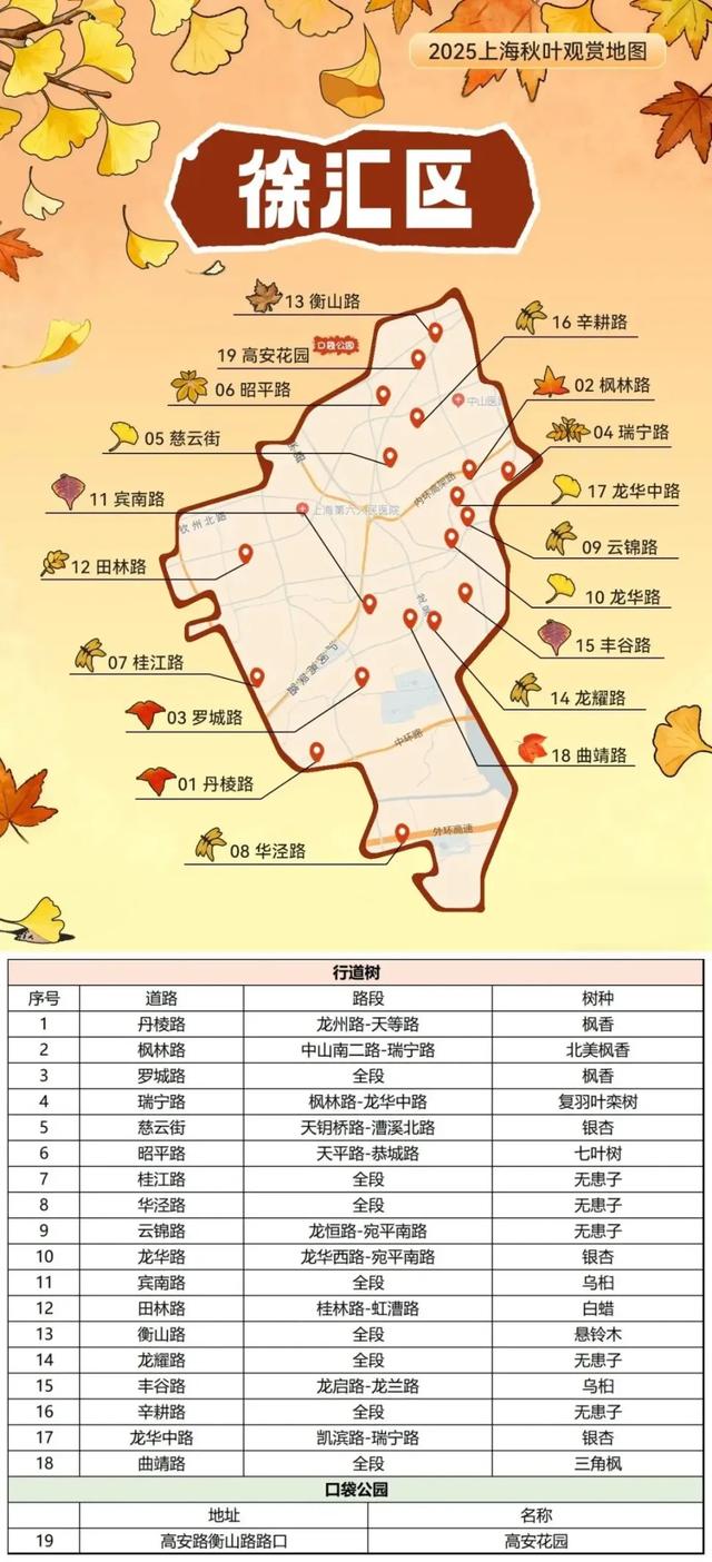 2025上海秋叶地图出炉,徐汇这些点位不可错过!