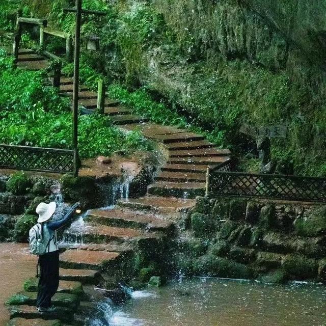 秋日研学，走进自然，探索竹的奥秘