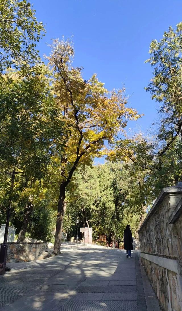 趁秋日暖阳，来八大处感受与自然共处的温柔→