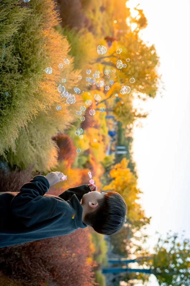 生态城的秋天，已经美得不像样了