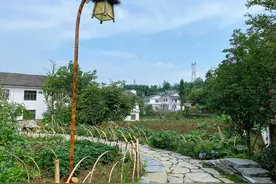 村妇伤春村医魔诊图片