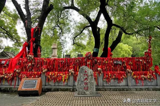 洪洞大槐树寻根之旅