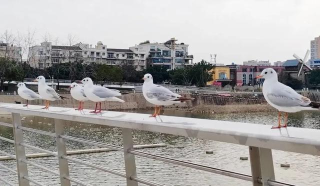 德阳，从古蜀之源走来