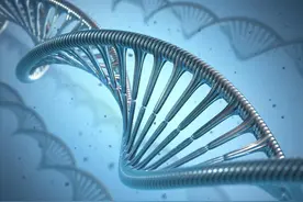 人类近亲不能繁殖，为什么却让狗“回交”，这不违反伦理道德吗图片