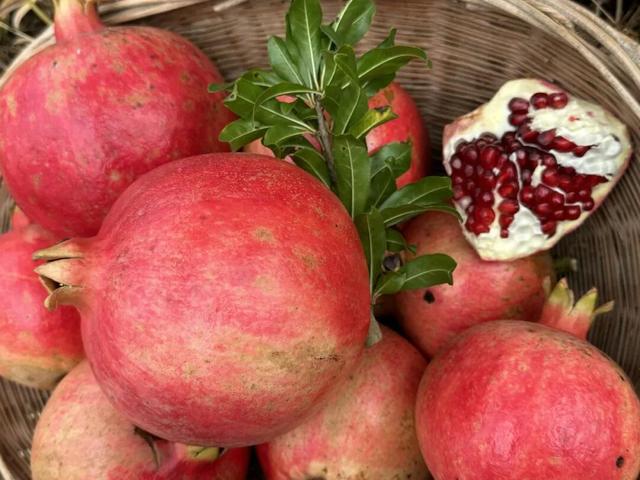 旅居隆阳·寻旅篇丨解锁千年古道的烟火与惊喜