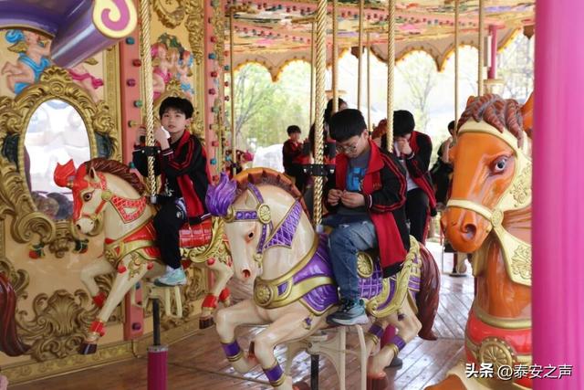 畅玩一整年！泰山石敢当景区官方年卡来啦！