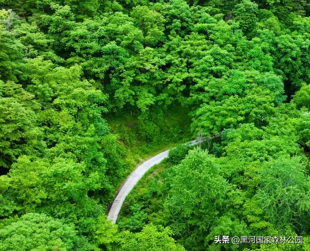 周末避暑好去处|走进绿意森呼吸,邂逅山间清凉
