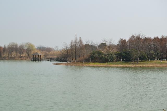 太湖国家湿地公园