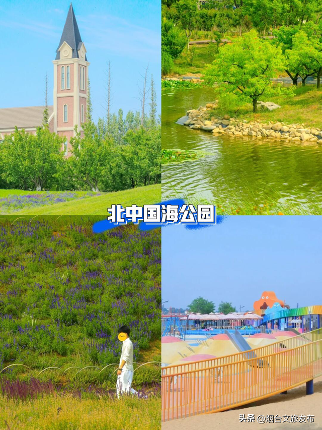 【乐游烟台】烟台最牛的公园，都是免费的…