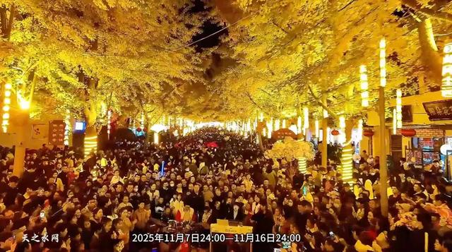 天水“黄金大道”11月7日浪漫启幕!